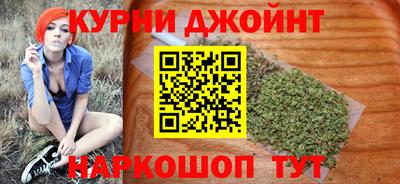 гашик Новозыбков