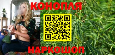 прущие грибы Новодвинск