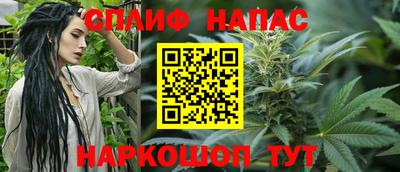 прущие грибы Новодвинск