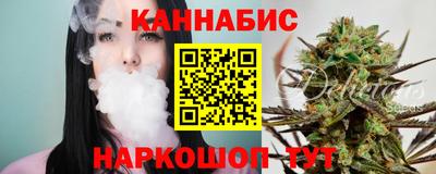 гашик Новозыбков