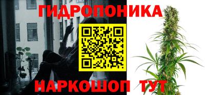 гашик Новозыбков